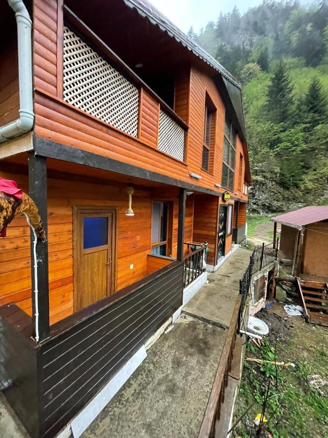 Nirvana suite hotel Caykara Exterior foto
